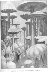 I WAS IN A FOREST OF COLOSSAL FUNGI.
