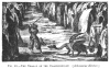 FIG. 40.THE DRAGON Of THE DRACHENFELDT. (<i>Athanasius Kircher</i>.)