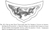 FIG. 45.ONE OF THE EAVE TILES FROM THE OLD IMPERIAL PALACE OF NANKIN, showing the Five-clawed or Imperial Dragon, an emblem which cannot be borne by any outside of the Imperial service, under the penalty of death. Commoners have to be satisfied with a four-clawed dragon.
