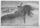 THEN THEY WENT SEAWARD.