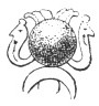 FIG. 113. WINGLESS PHOENICIAN GLOBE WITH UR&AElig;I. (RENAN. Mission de Ph&eacute;nicie, pl. lv.)