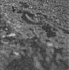 Right Footprint. Arrow points to toe of track. (Compare with Plate VI.)